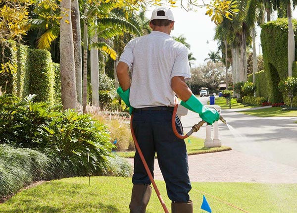 About Hanston KS Pest Control